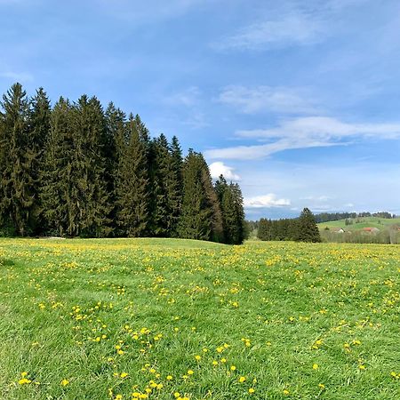 Lindners Hideaways - Bergnest Lodge - Bergblick Fewo 6 Pers Balkon Garten Hund Ski Unterkunft Luftkurort Oberreute Naehe Buchenegger Wasserfaelle Eistobel Bodensee Zewnętrze zdjęcie