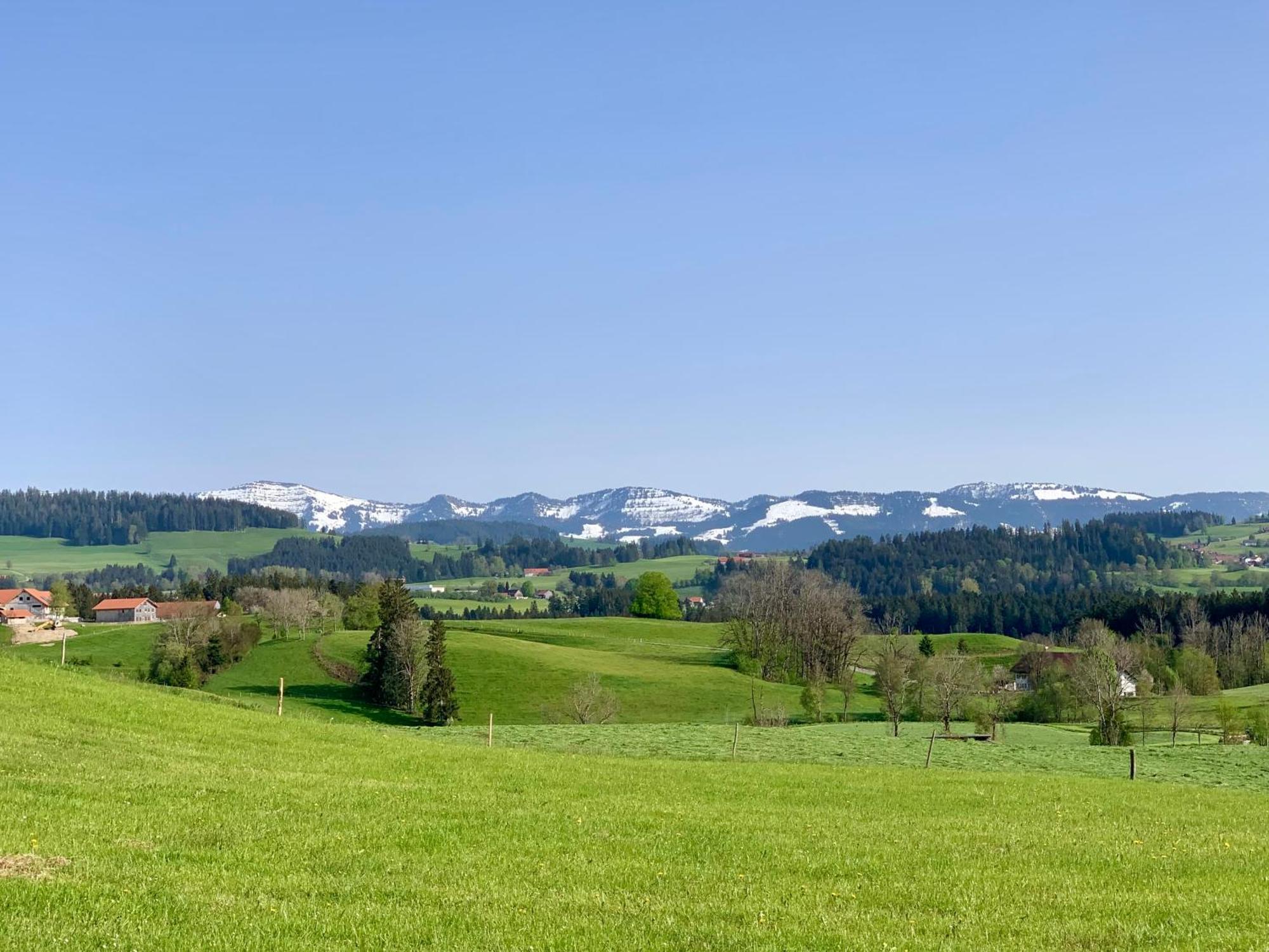 Lindners Hideaways - Bergnest Lodge - Bergblick Fewo 6 Pers Balkon Garten Hund Ski Unterkunft Luftkurort Oberreute Naehe Buchenegger Wasserfaelle Eistobel Bodensee Zewnętrze zdjęcie