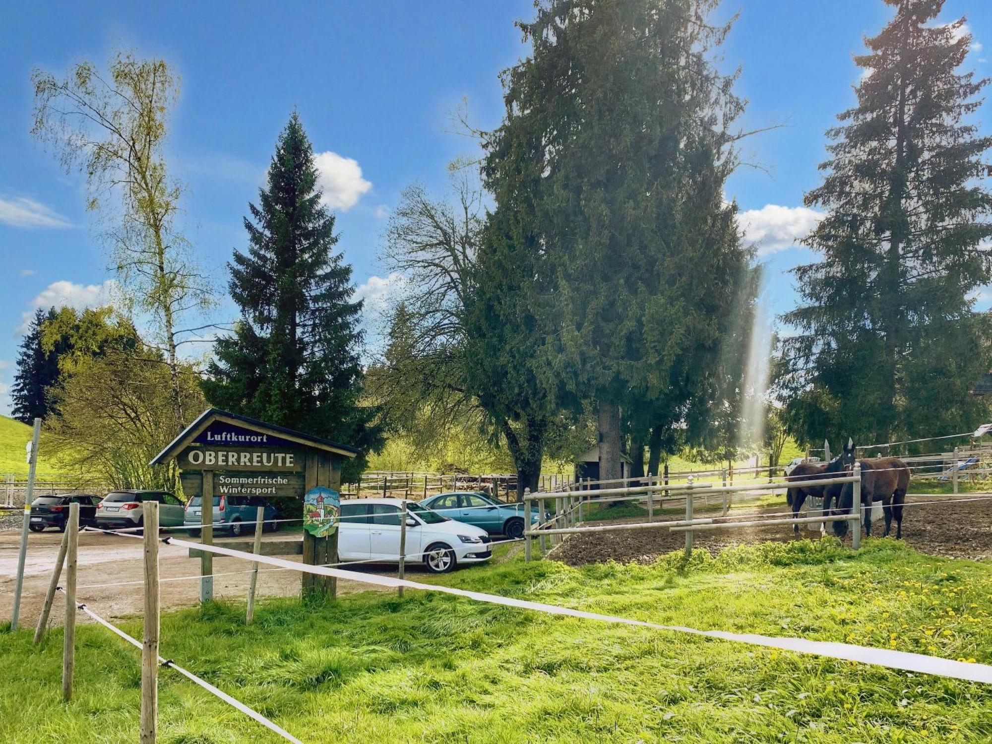 Lindners Hideaways - Bergnest Lodge - Bergblick Fewo 6 Pers Balkon Garten Hund Ski Unterkunft Luftkurort Oberreute Naehe Buchenegger Wasserfaelle Eistobel Bodensee Zewnętrze zdjęcie