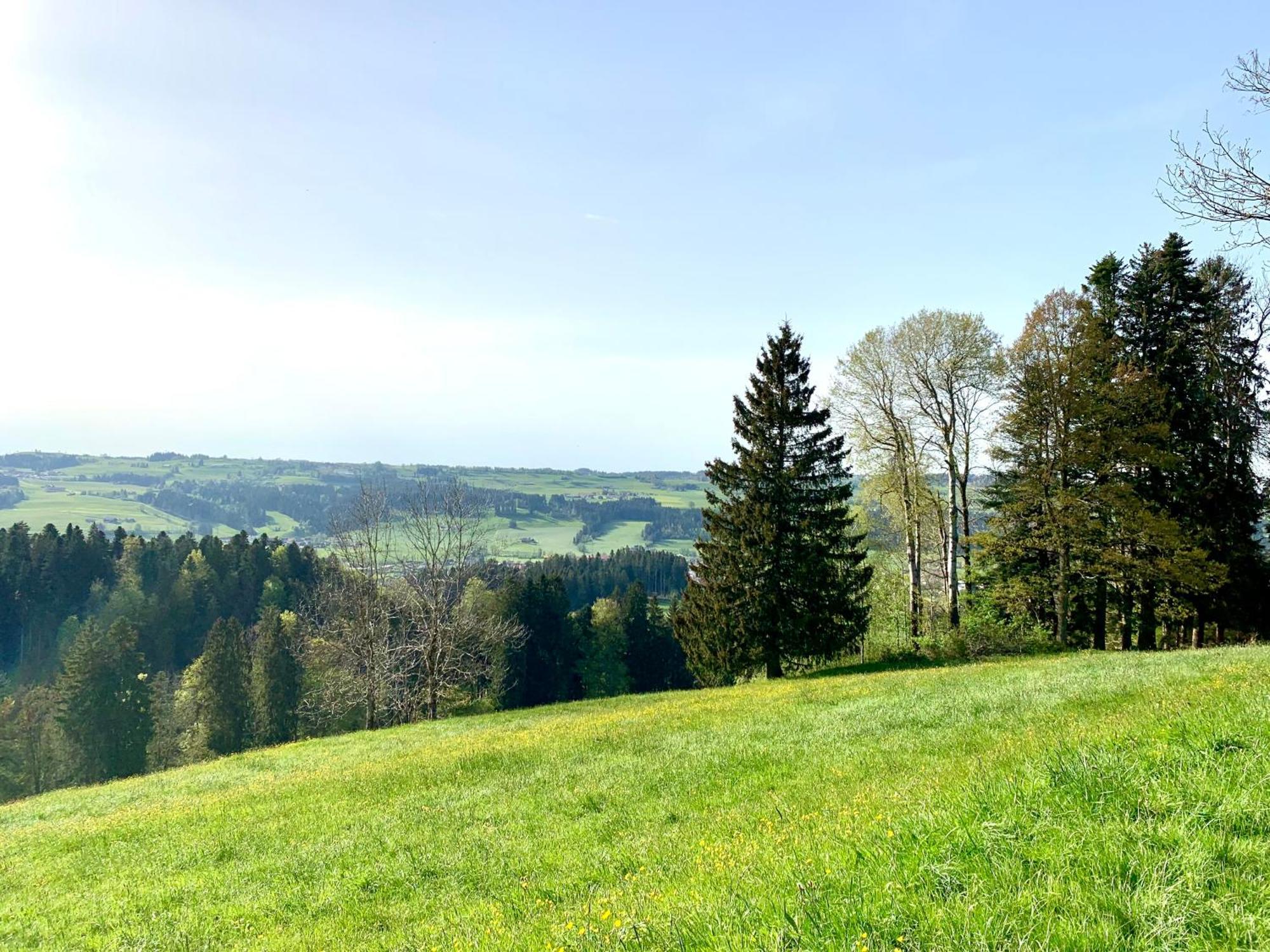 Lindners Hideaways - Bergnest Lodge - Bergblick Fewo 6 Pers Balkon Garten Hund Ski Unterkunft Luftkurort Oberreute Naehe Buchenegger Wasserfaelle Eistobel Bodensee Zewnętrze zdjęcie